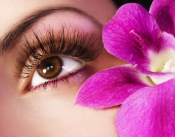 Top 3 địa chỉ đào tạo nối mi uy tín nhất ở Hải Phòng