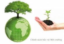 Top 4 Dịch vụ tư vấn môi trường chuyên nghiệp tại Đà Nẵng