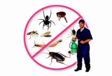 Top 6 Công ty diệt côn trùng tại nhà ở Hà Nội