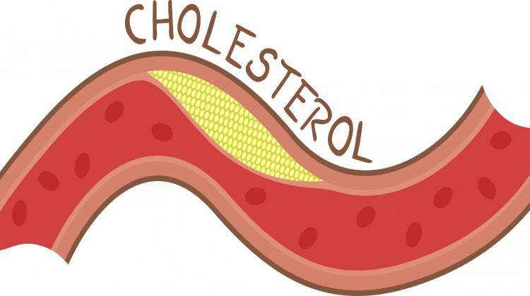 Tác dụng đông trùng hạ thảo với cholesterol 34
